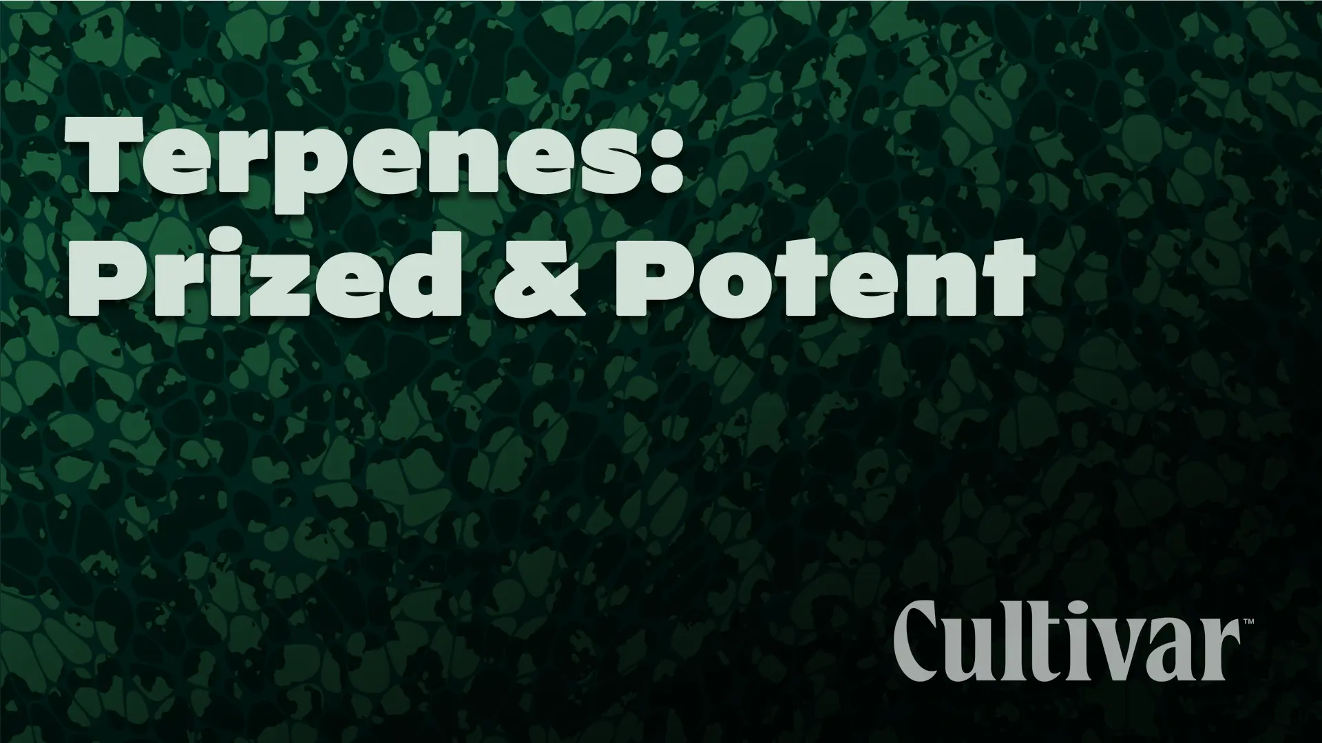 Terpenes: Prized and Potent