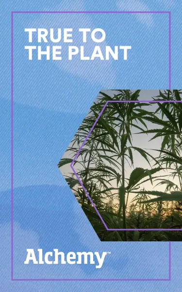 True To The Plant
