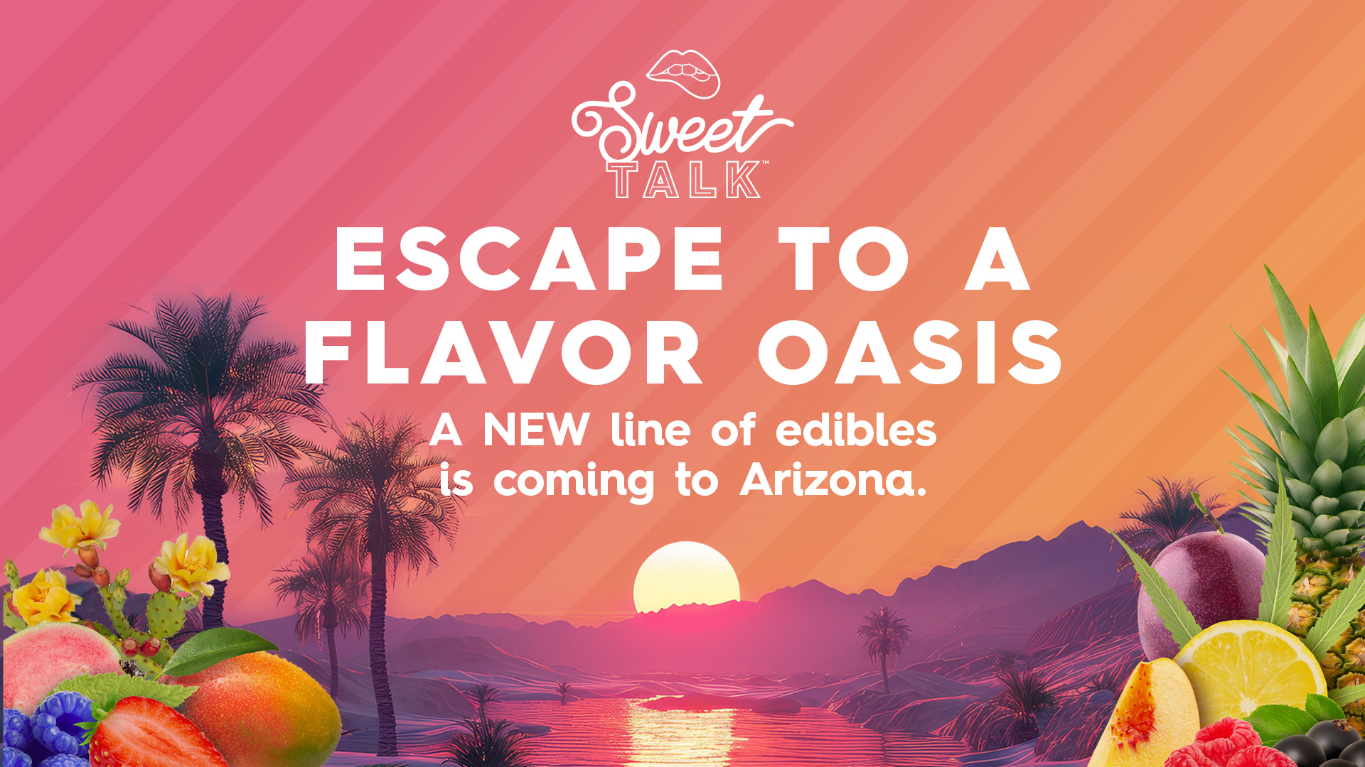 Sweet Talk Edibles Coming to Arizona