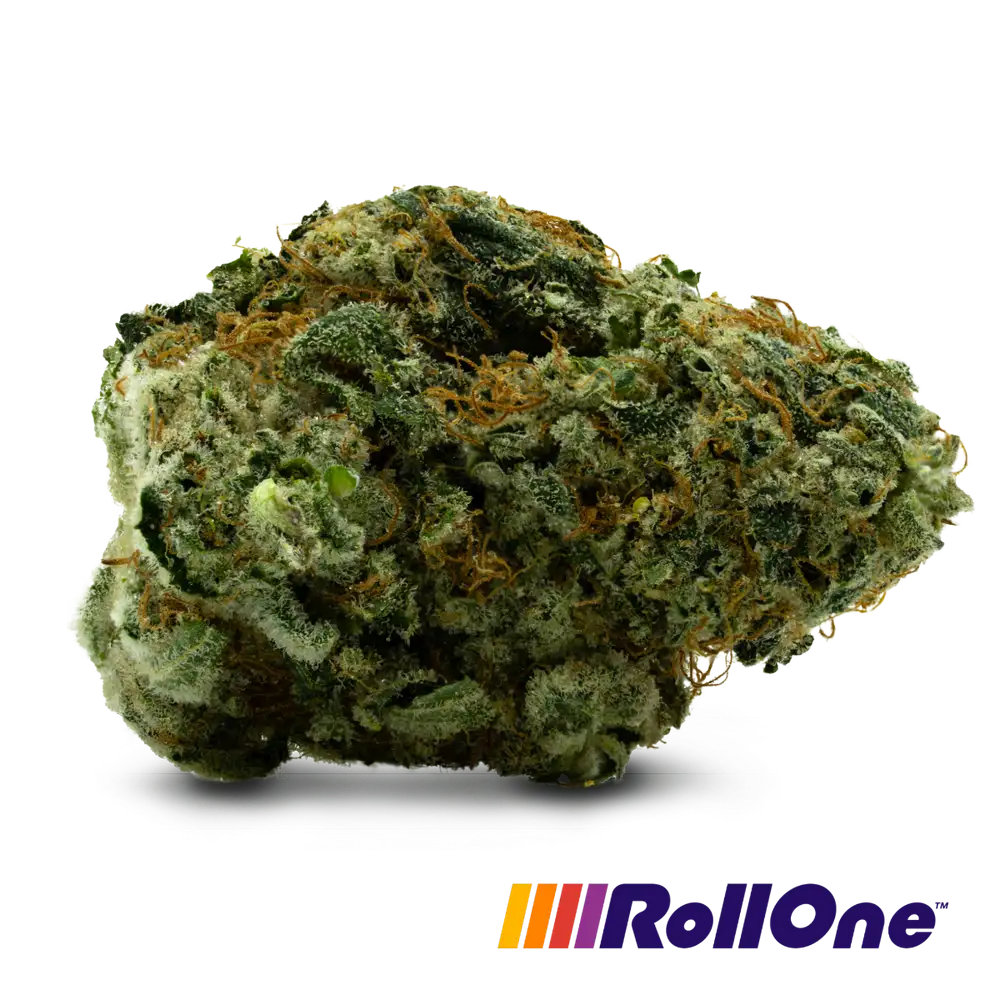 Shop RO-FLOWER-3.5G-I10-H-FL Online